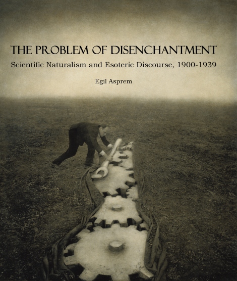 Problem of DIsenchantment cover 
