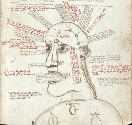 The human cognitive system according to a late-medieval scribe. Illustration to a manuscript copy of Aristotle's De Anima (1472-1474), courtesy of Wellcome Collection (MS 55).
